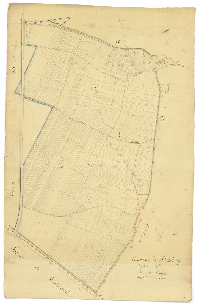 minute, section C