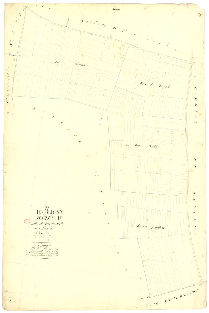 Section D dite de Tiersanville, en 8 feuilles, 5eme feuille