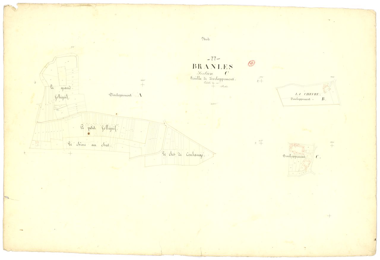 D�veloppement de la feuille unique de la section C