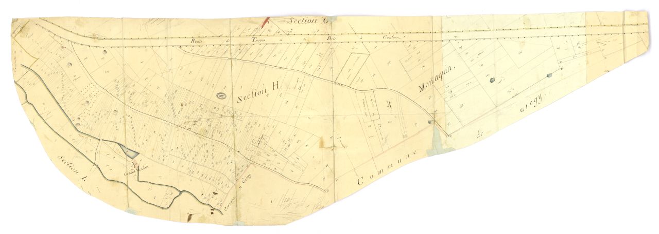 minute, section H