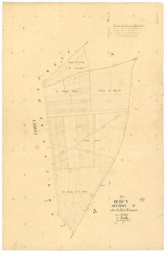 Section D dite du Bois-Trumeau, en 4 feuilles, 3eme feuille