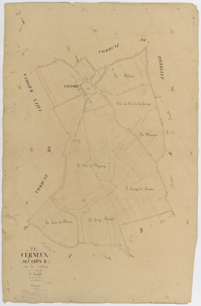 Section B1
