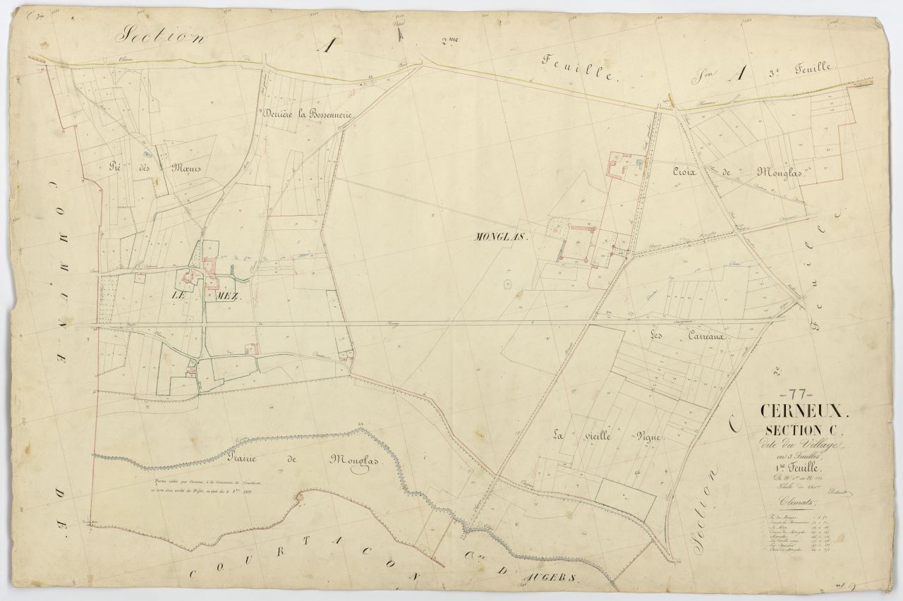 Section C1