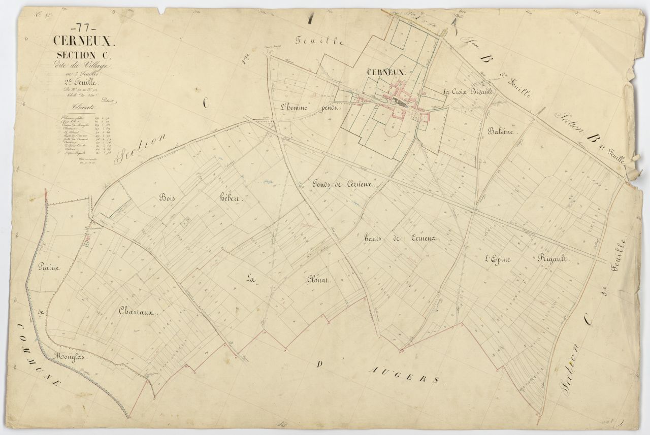 Section C2