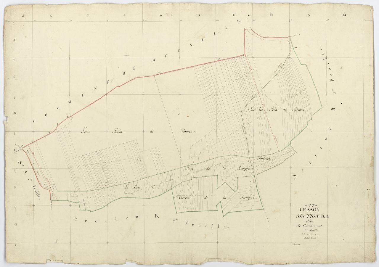 Section B1