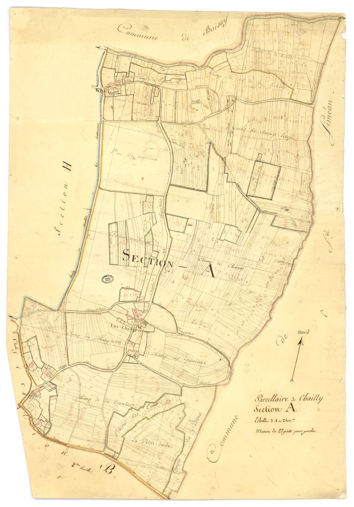 minute, section A