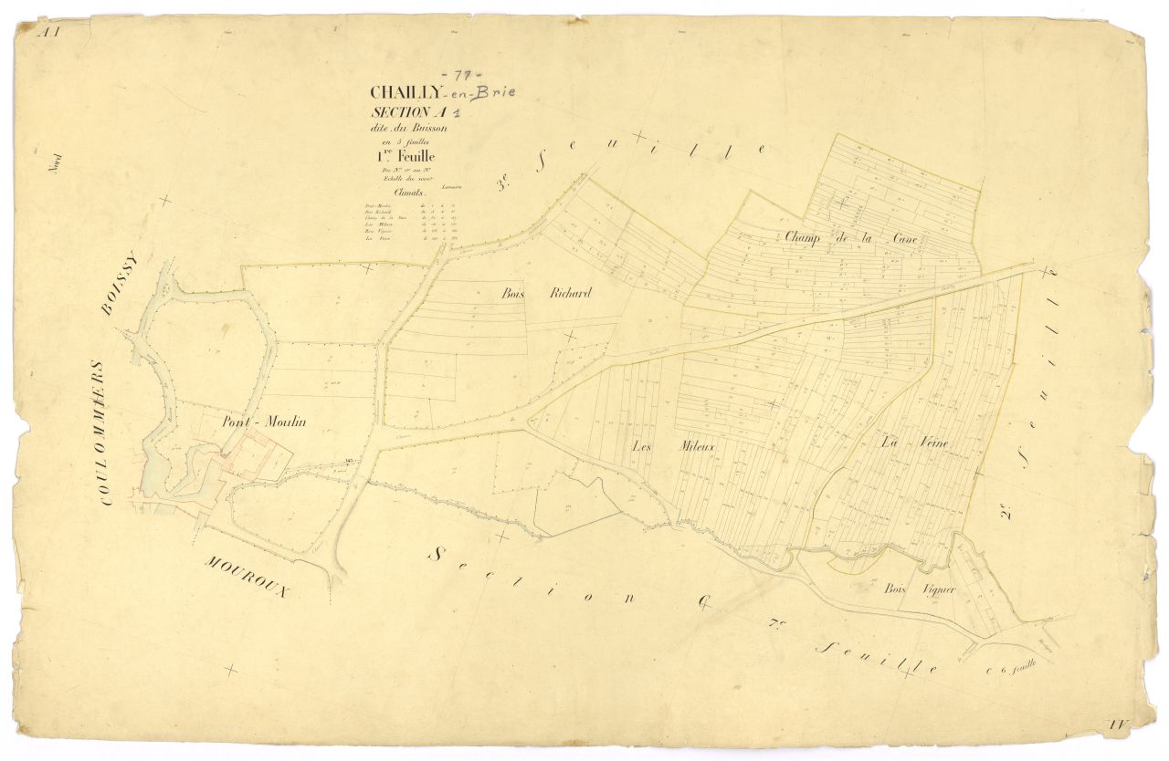 Section A1