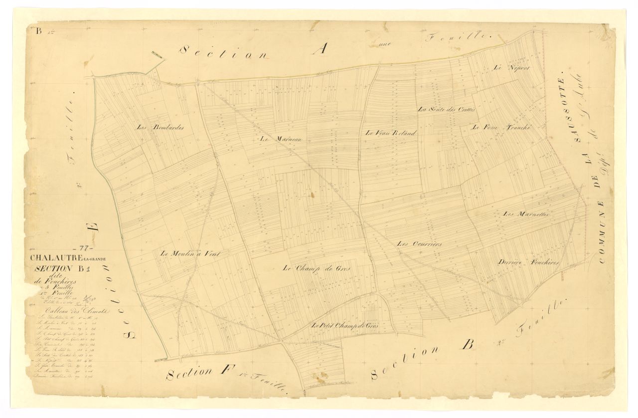 Section B1