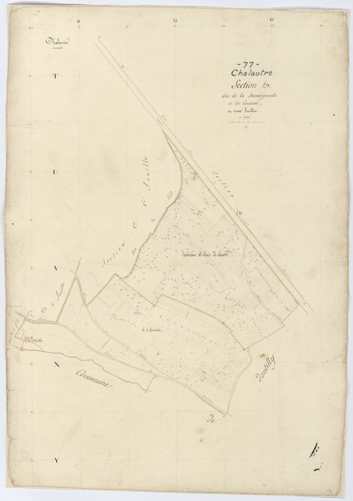 Section C1