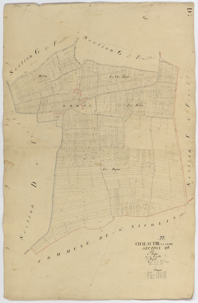 Section D1