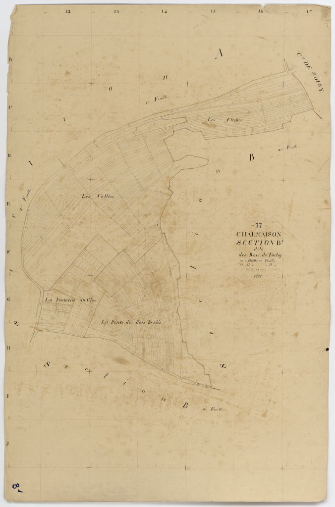 Section B1