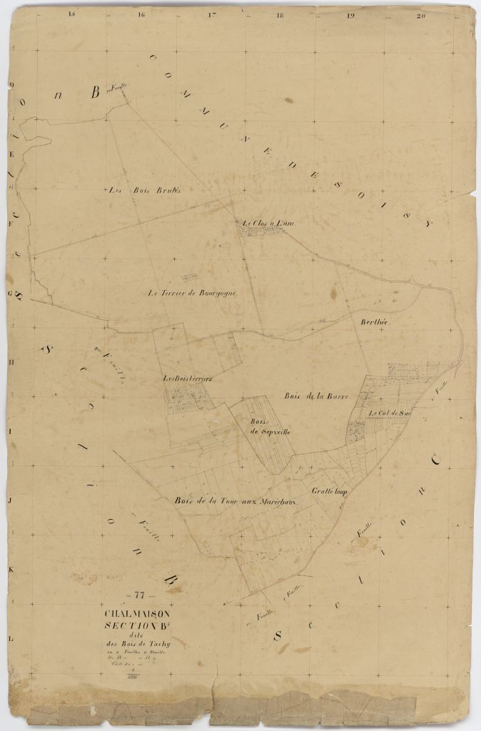 Section B2