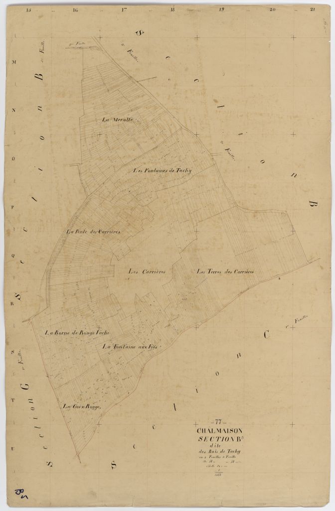 Section B5