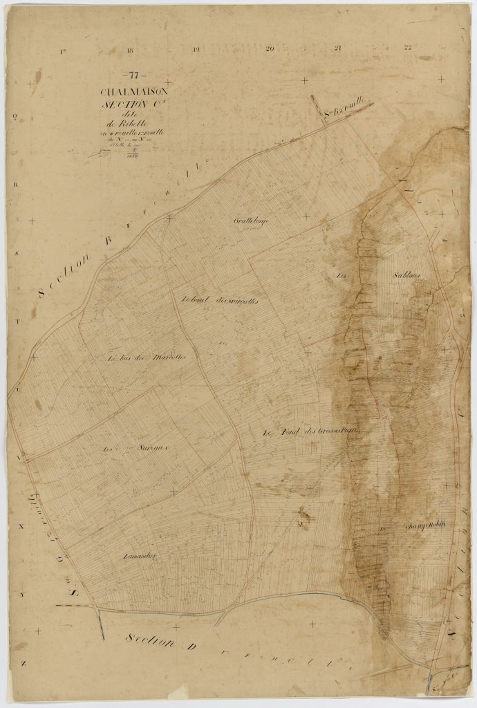 Section C1