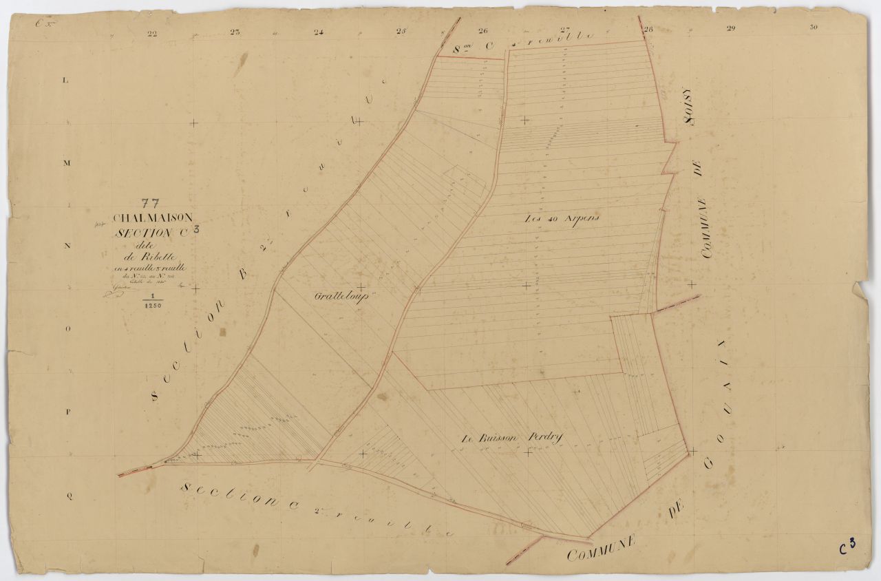 Section C3