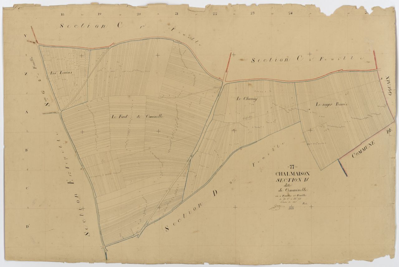 Section D1
