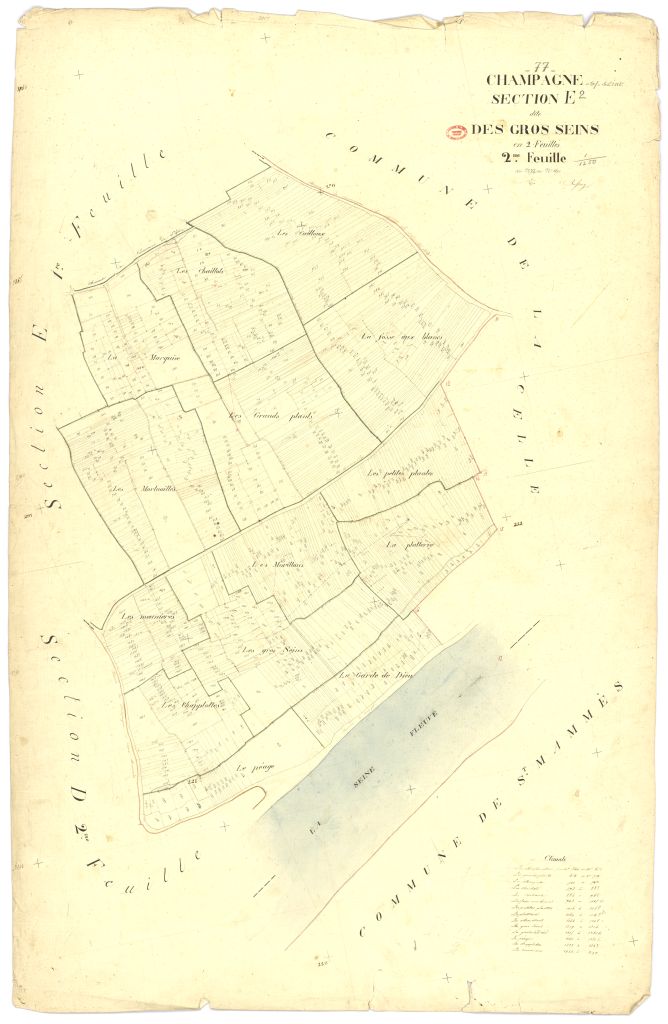 Section E dite des Gros-Seins, en 2 feuilles, 2eme feuille