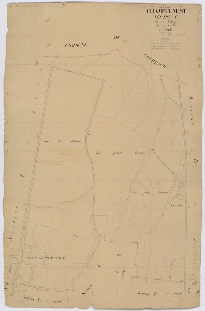 Section C1
