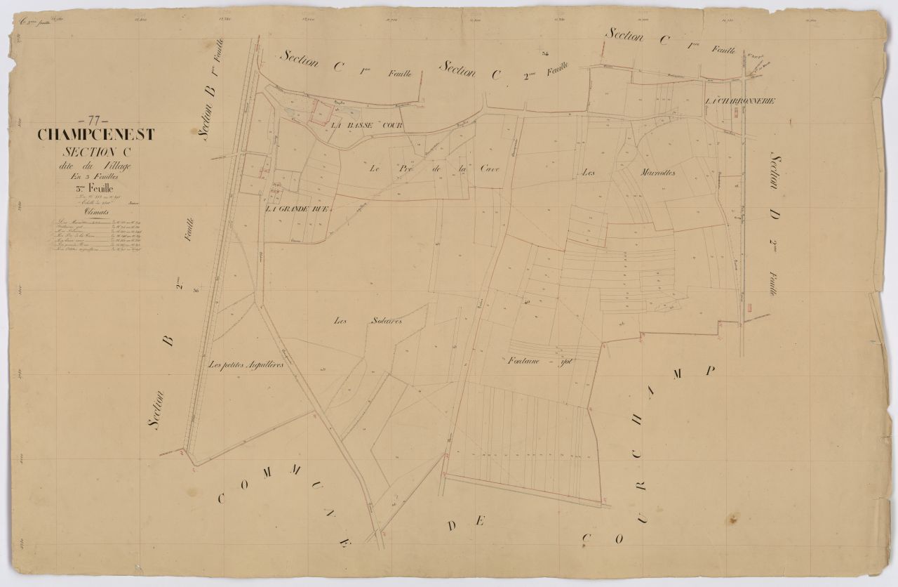 Section C3