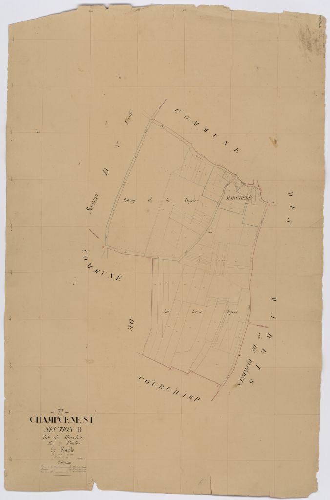 Section D3