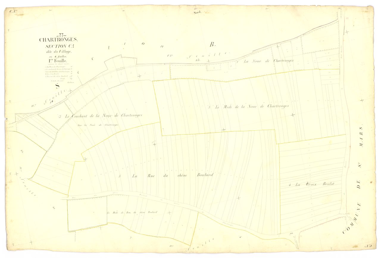 Section C1
