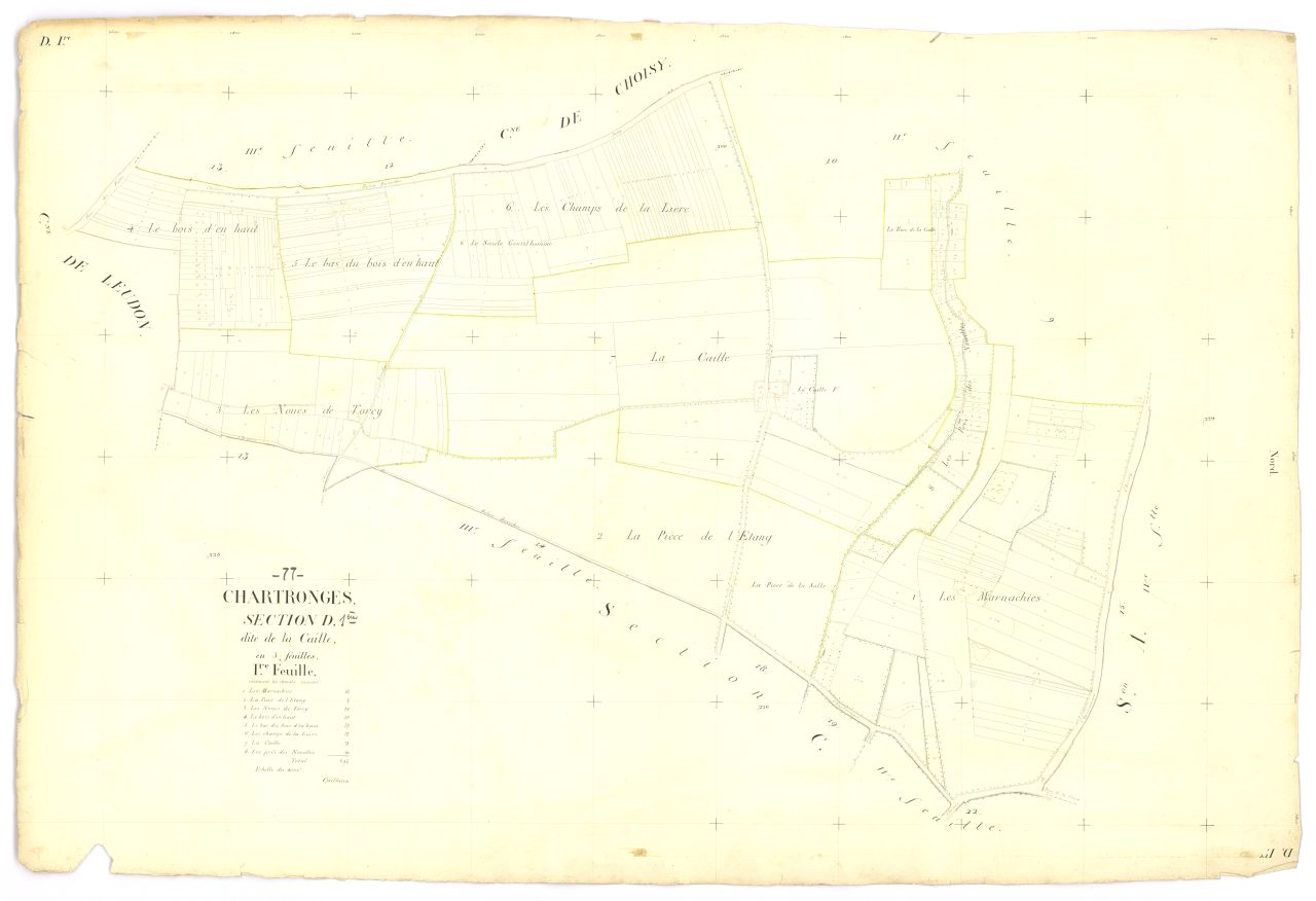 Section D1