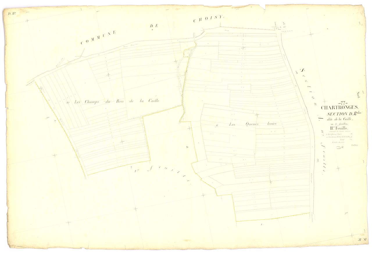 Section D2
