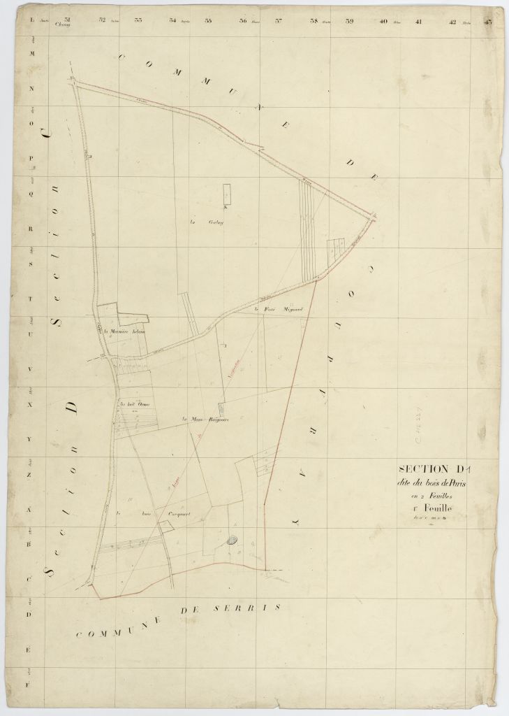 Section D1