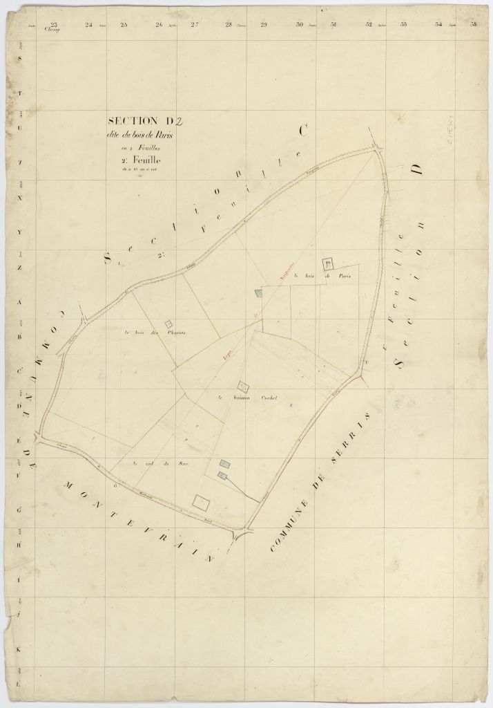Section D2