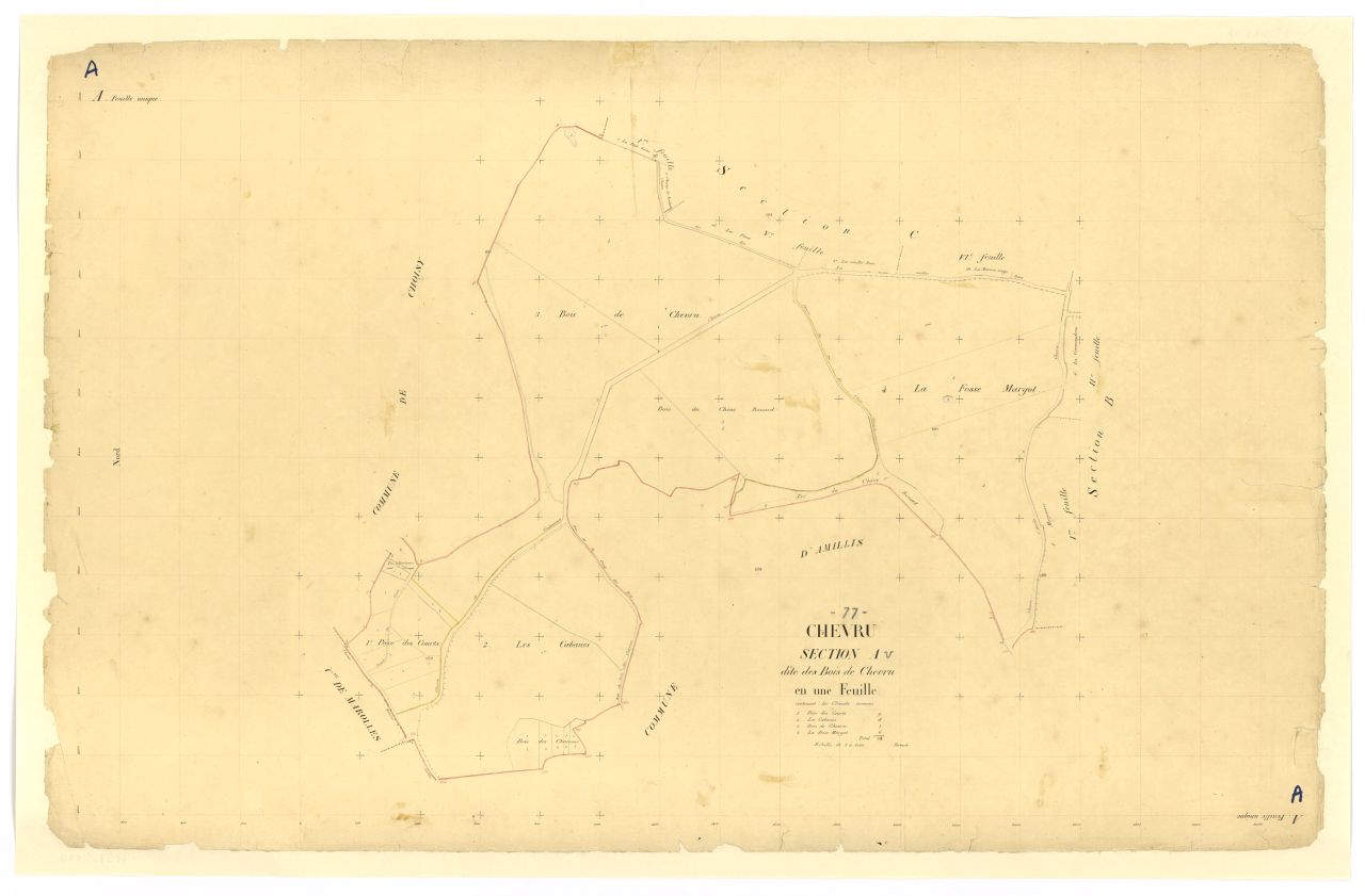 Section A