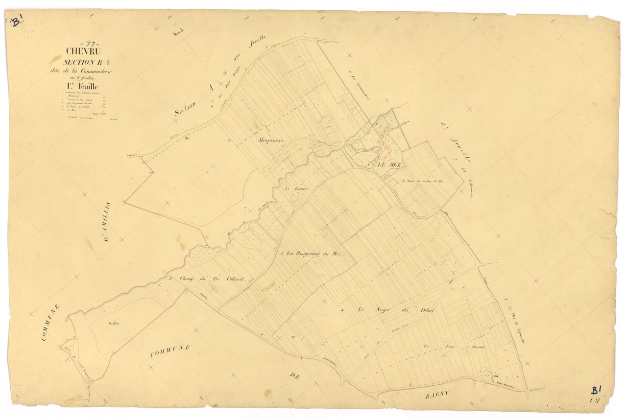 Section B1