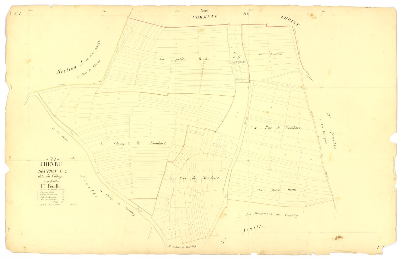 Section C1