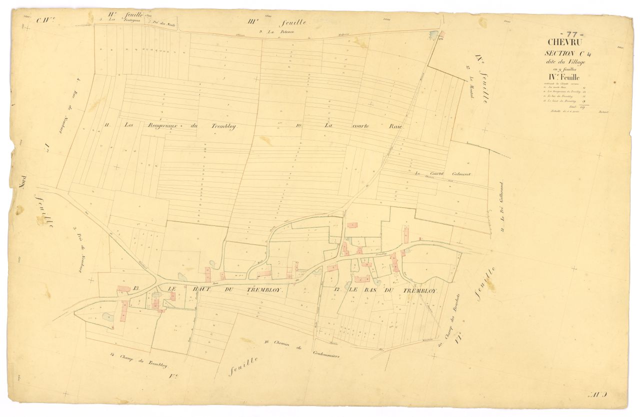 Section C4