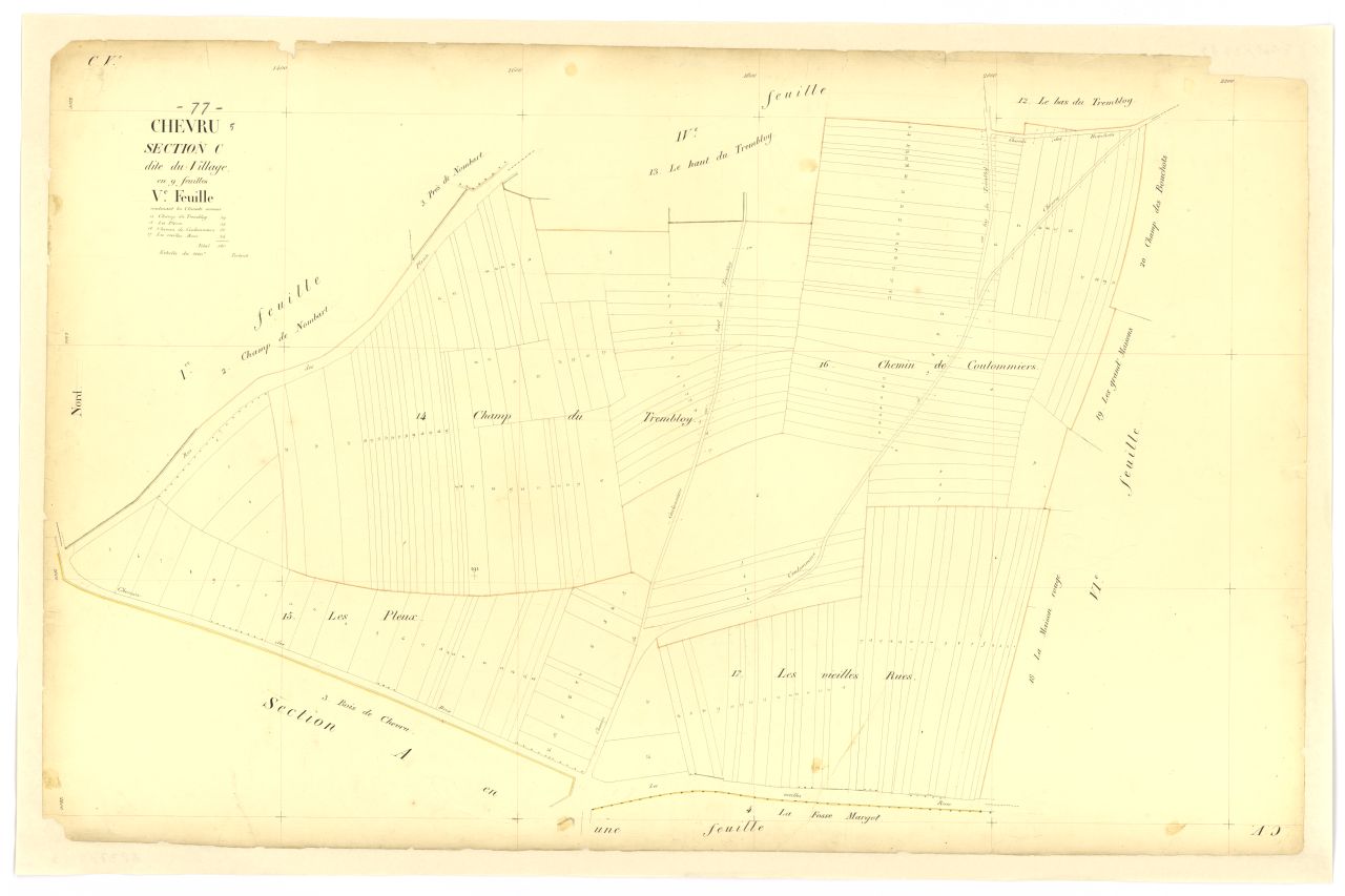 Section C5