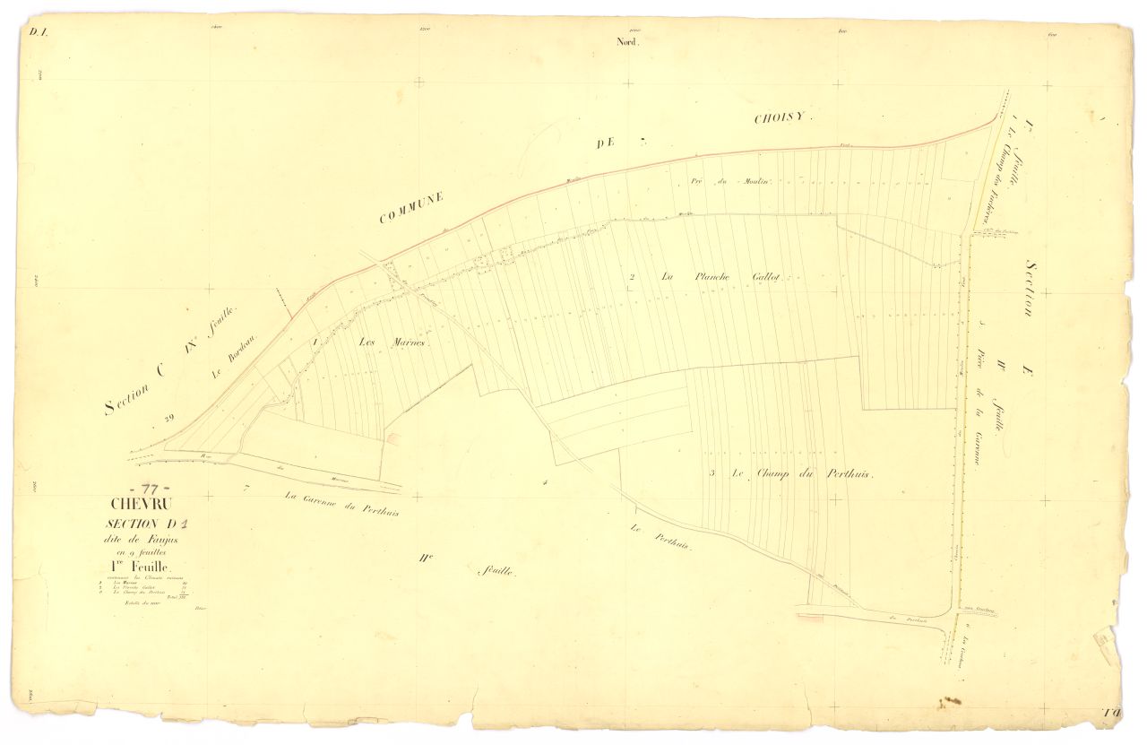 Section D1