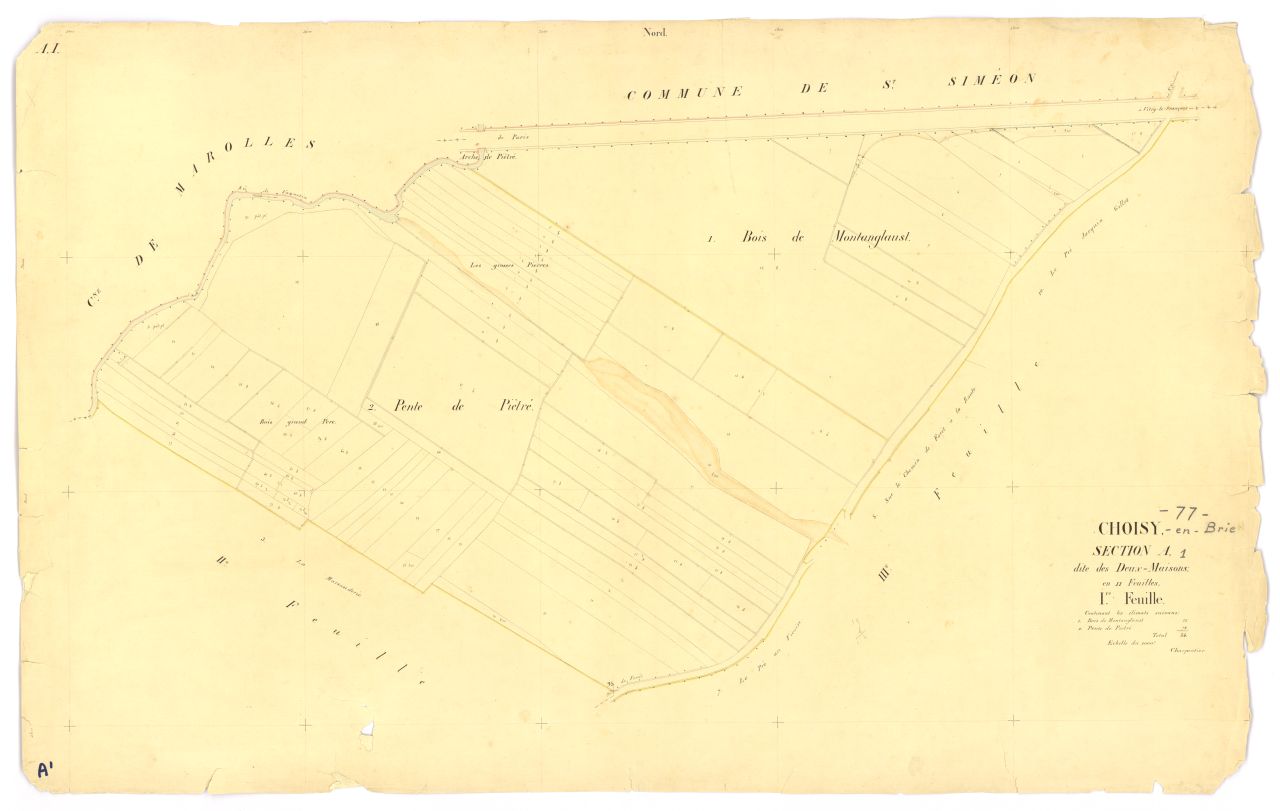 Section A1