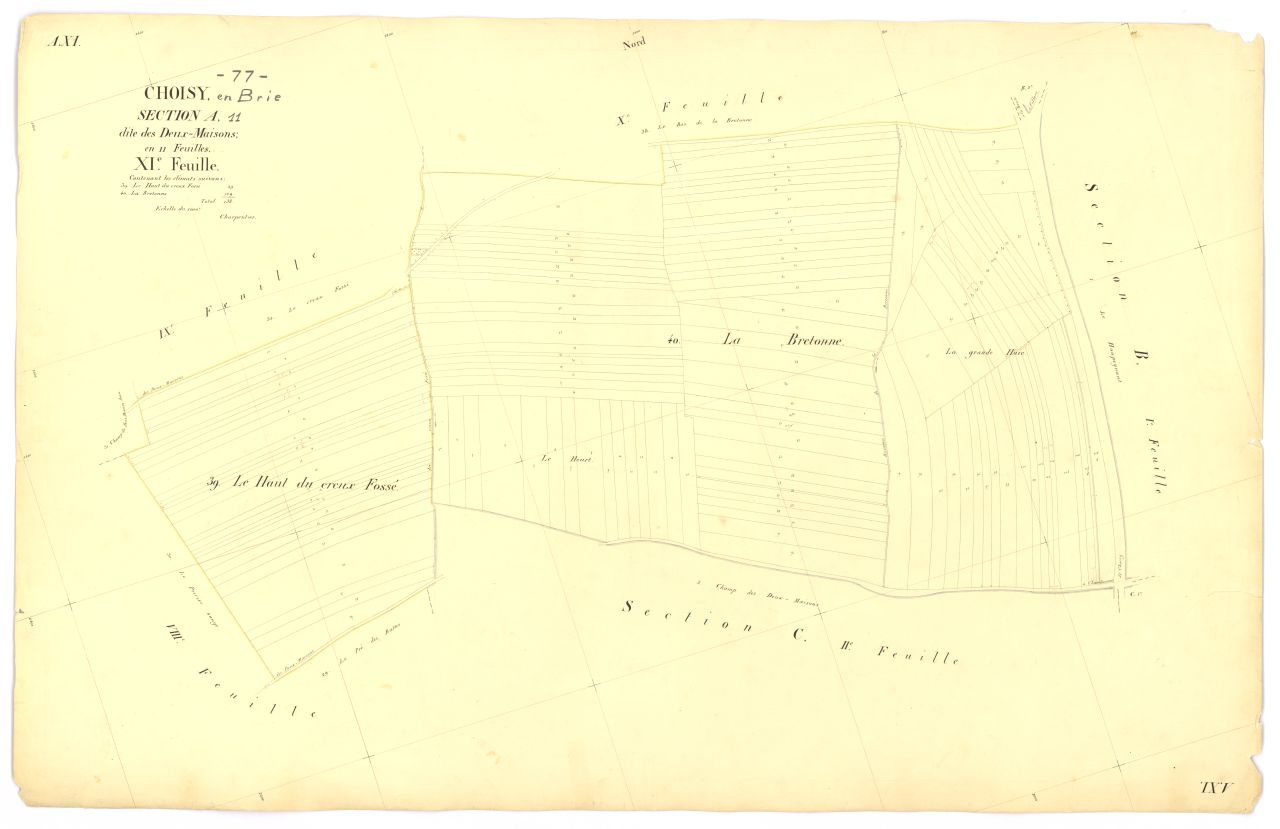 Section A11