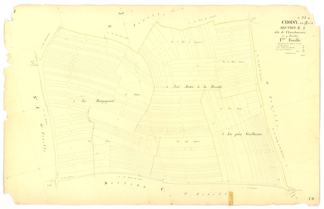 Section B1