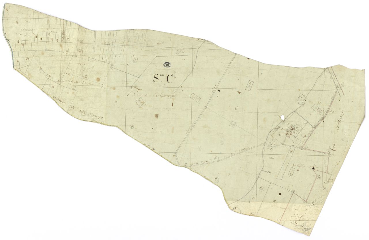 minute, section C