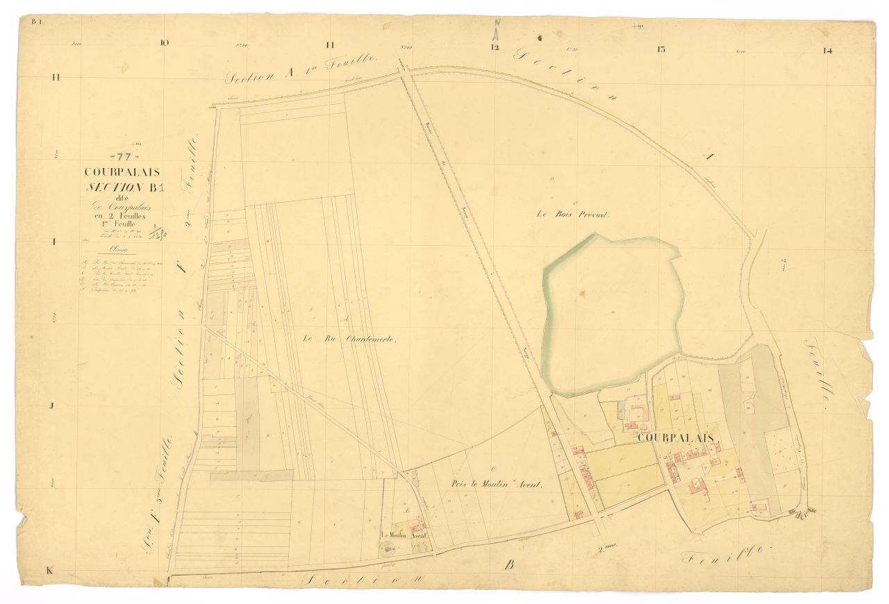 Section B1