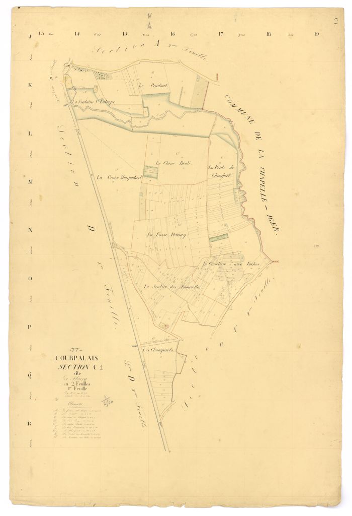 Section C1