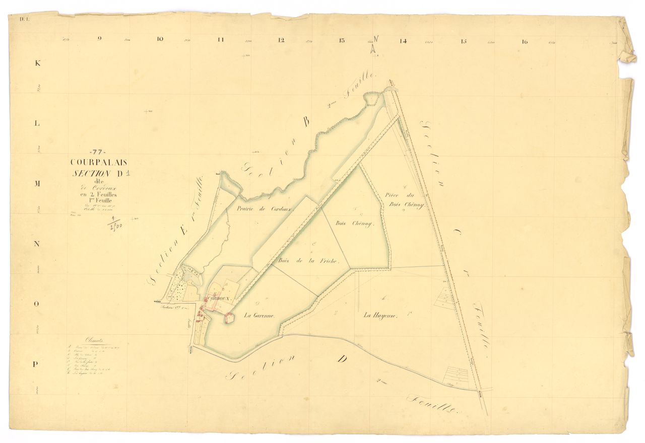 Section D1