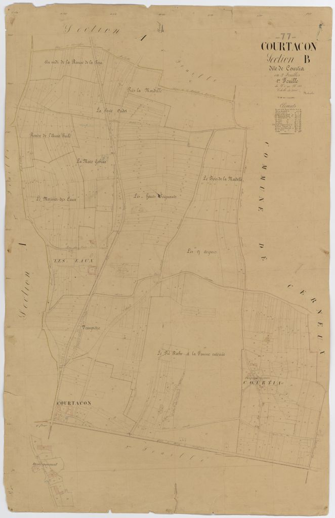 Section B1