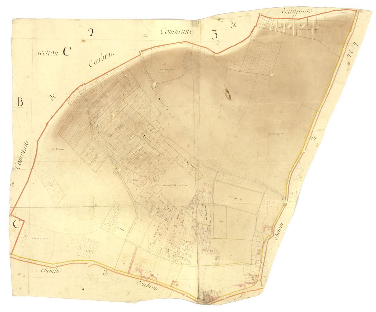 minute, section C