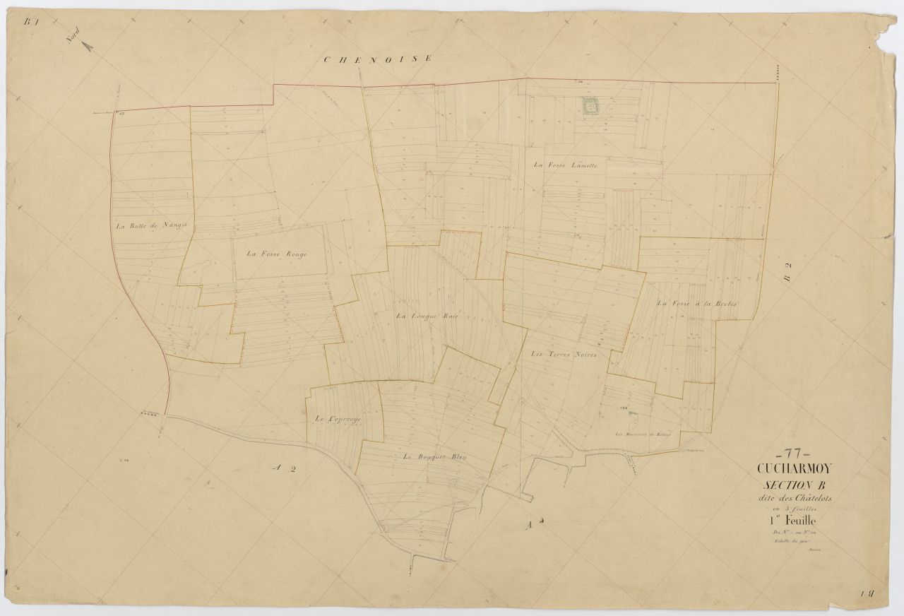 Section B1