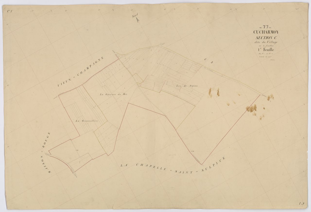 Section C1