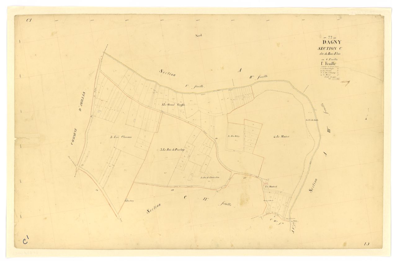 Section C1
