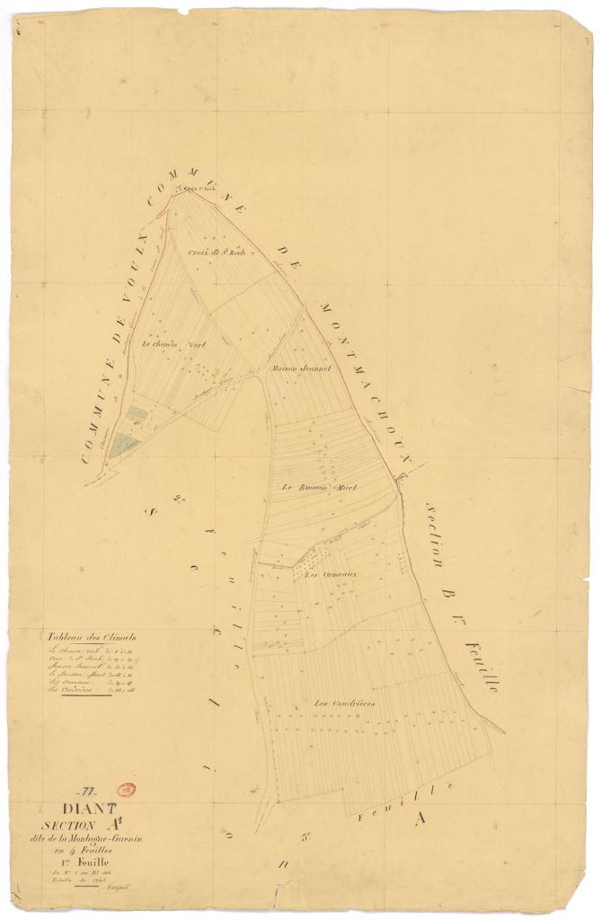 Section A dite de la Montagne-Guenin, en 4 feuilles, 1ere feuille