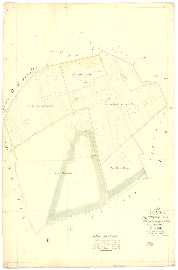 Section C dite de la Haye-au-Roi, en 3 feuilles, 2eme feuille