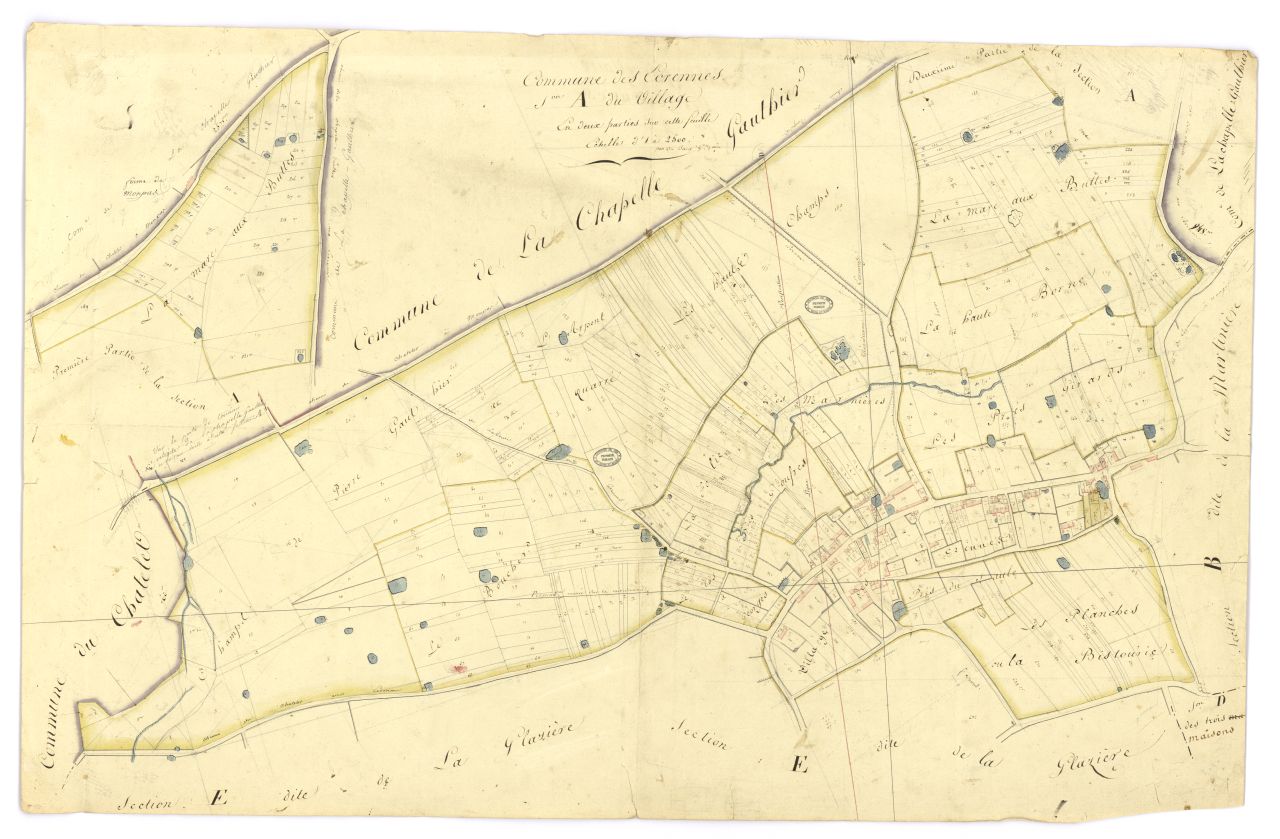 minute, section A